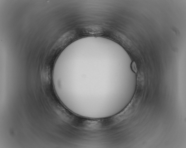 X0000113070170200909250936