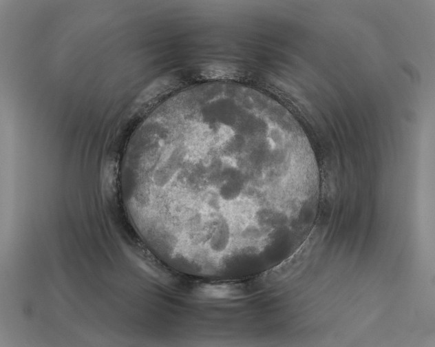 X0000113070171200909250936