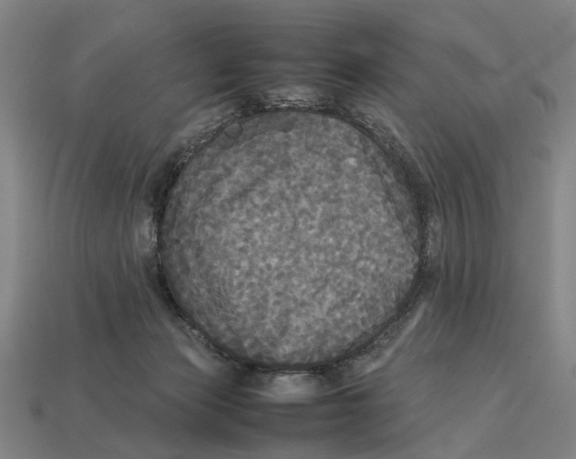 X0000113070173200909250936