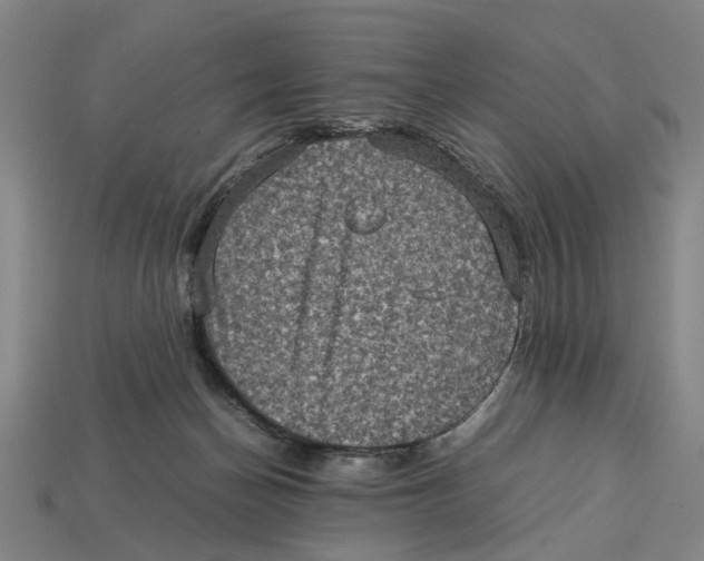 X0000113070174200909250936