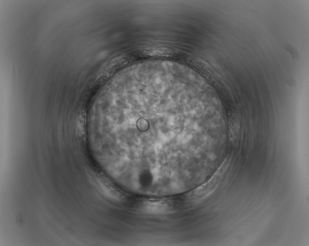 X0000113070175200909250936