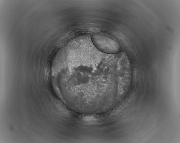 X0000113070177200909250936