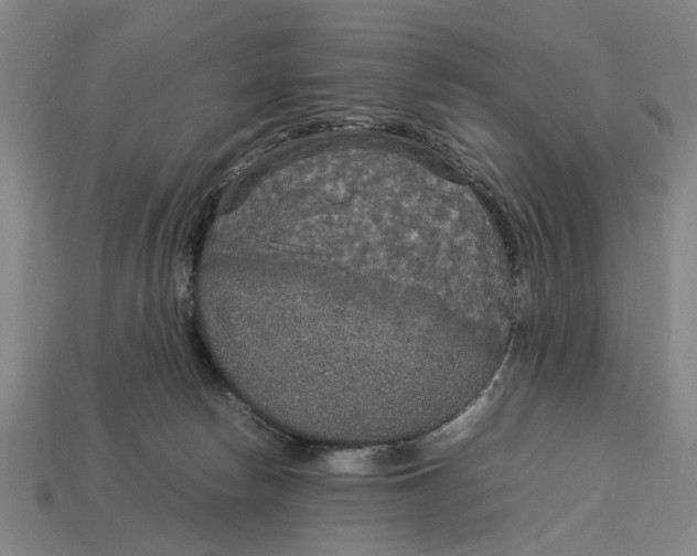 X0000113070178200909250936