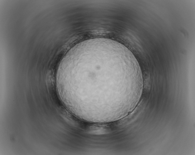 X0000113070179200909250936