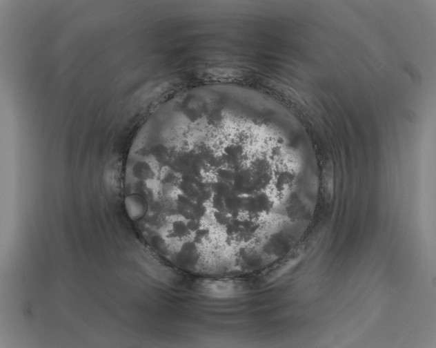 X0000113070181200909250936
