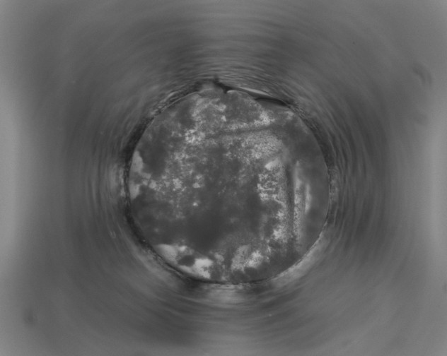 X0000113070182200909250936