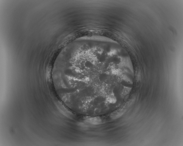 X0000113070185200909250936
