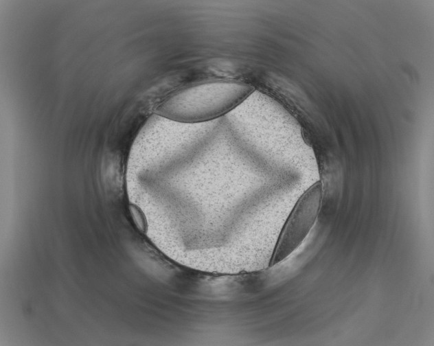X0000113070186200909250936