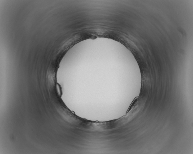 X0000113070188200909250936