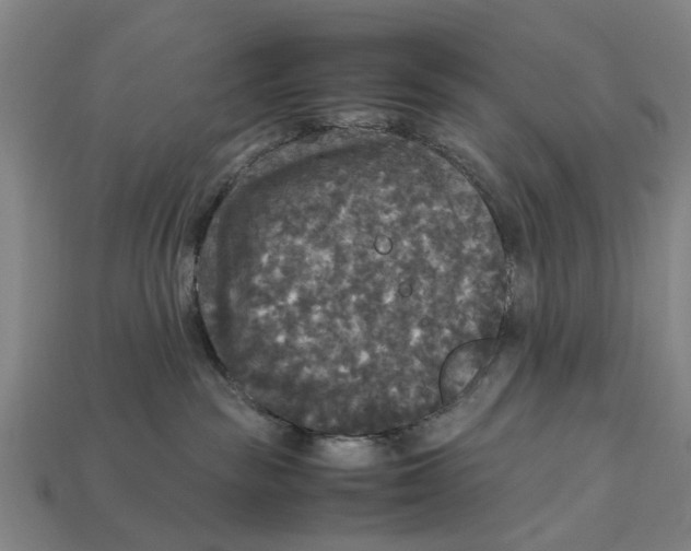 X0000113070189200909250936