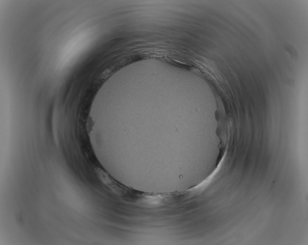 X0000113070190200909250937