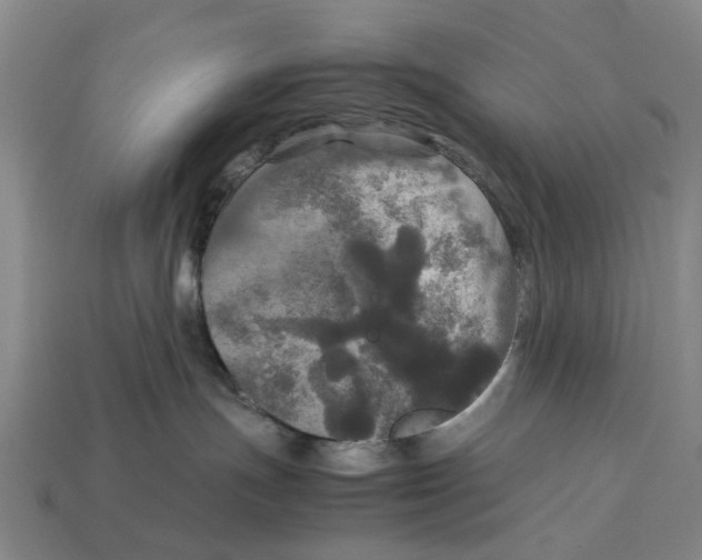 X0000113070191200909250937