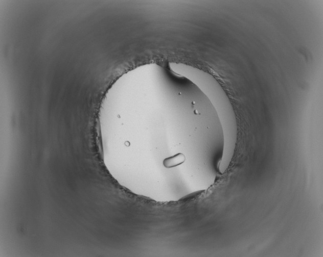 X0000113070192200909250937