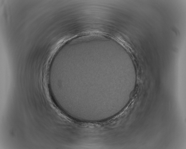 X0000113070193200909250936