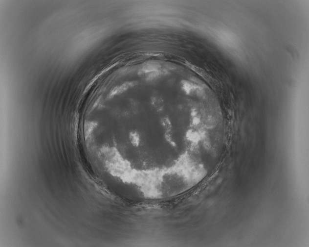 X0000113070194200909250936