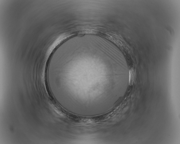 X0000113070195200909250936