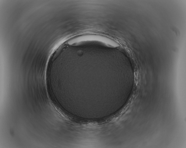 X0000113070196200909250936