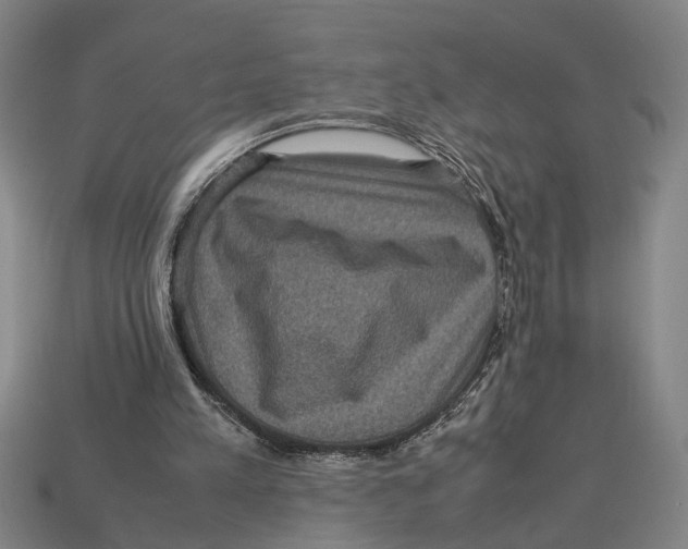 X0000113070197200909250936