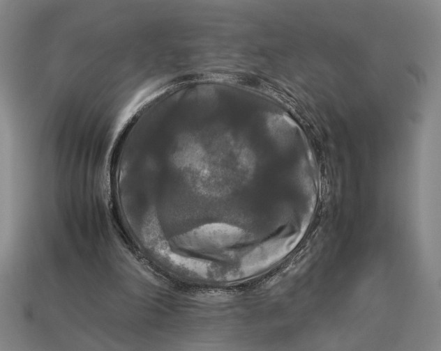 X0000113070198200909250936