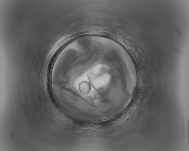 X0000113070199200909250936