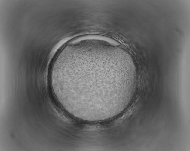 X0000113070200200909250936