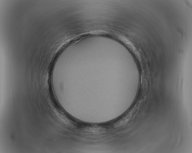 X0000113070201200909250936