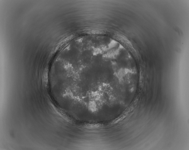 X0000113070202200909250936