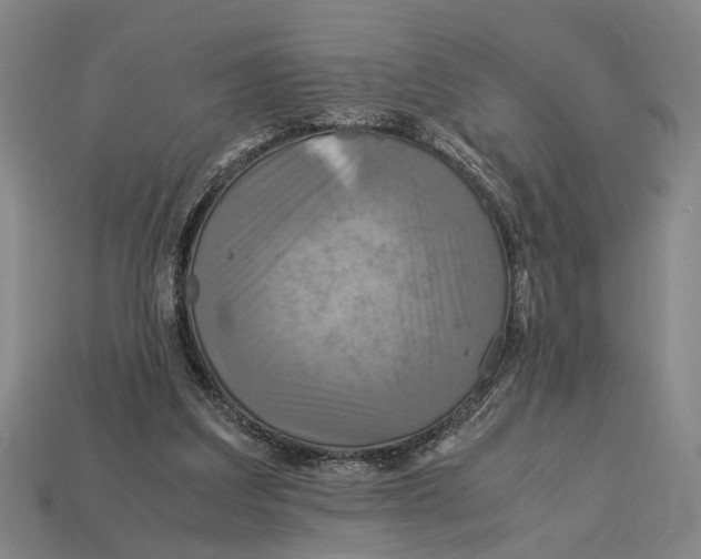 X0000113070203200909250936