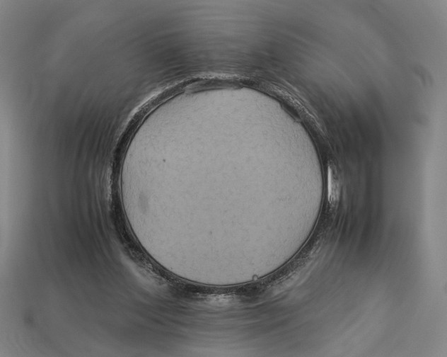 X0000113070204200909250936