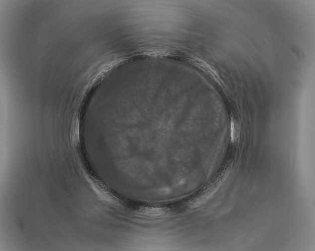 X0000113070205200909250936