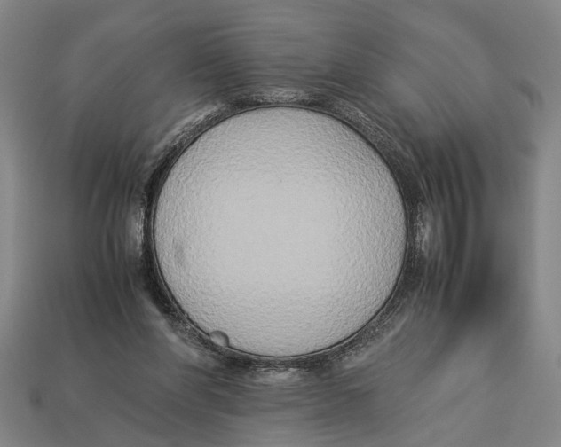X0000113070206200909250936