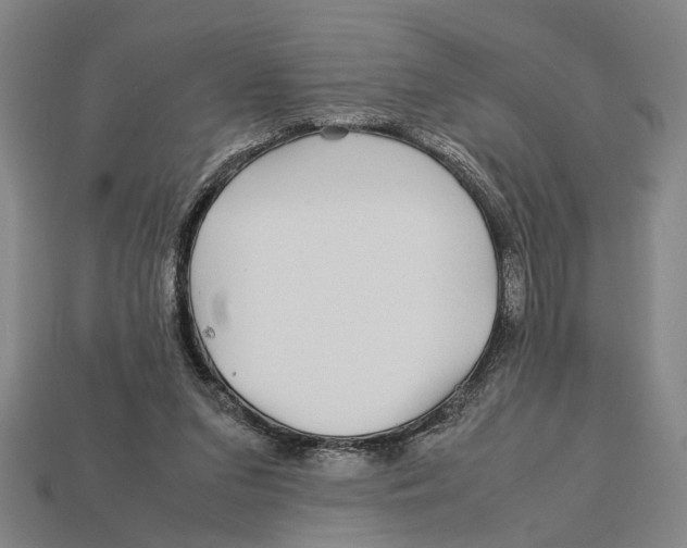 X0000113070207200909250936