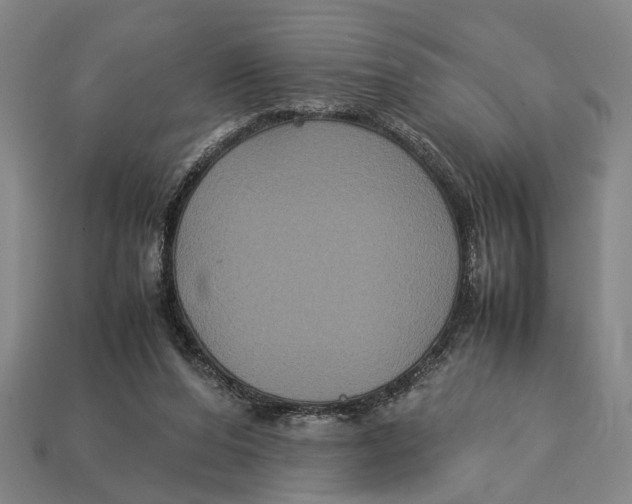 X0000113070208200909250936