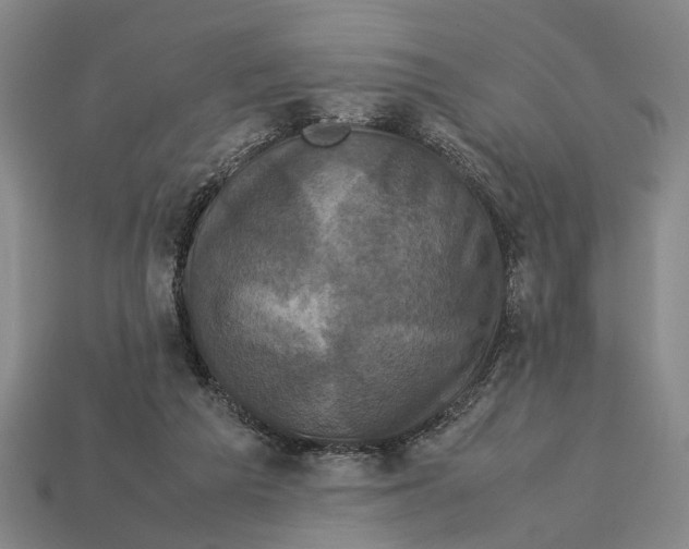 X0000113070209200909250936