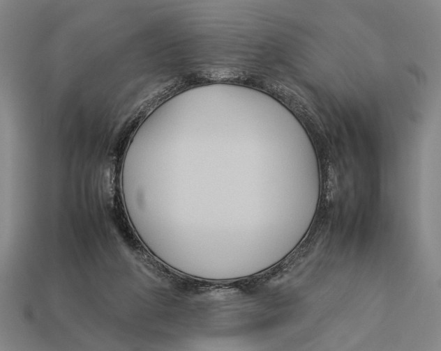 X0000113070210200909250936