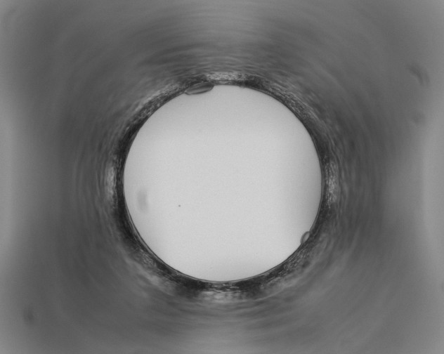 X0000113070211200909250936