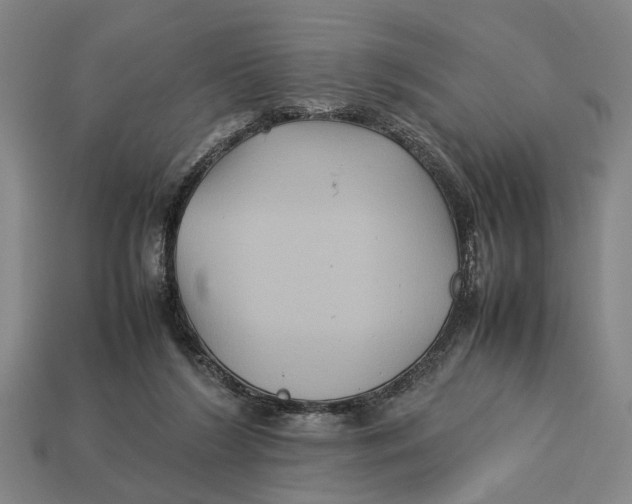 X0000113070212200909250936