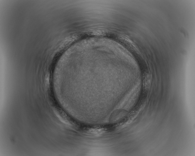 X0000113070213200909250936