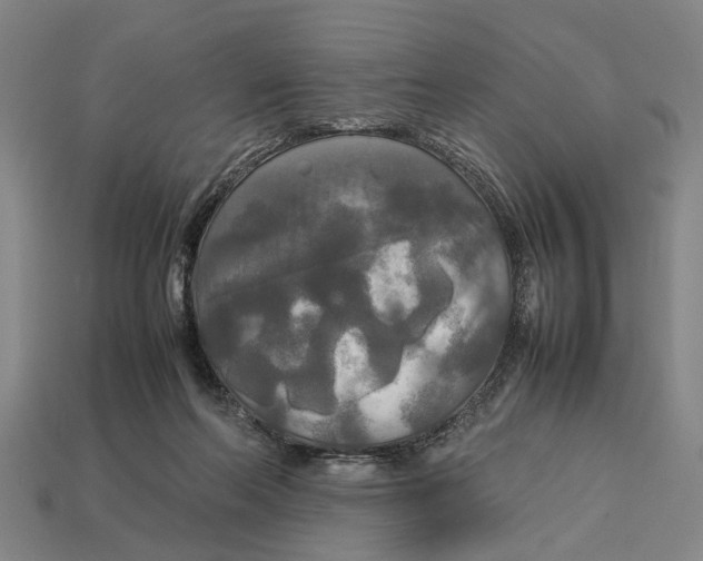 X0000113070214200909250936