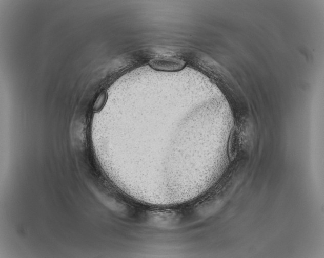 X0000113070215200909250936