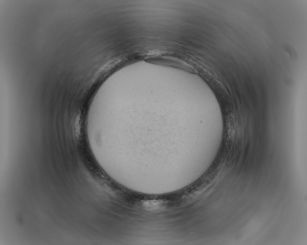 X0000113070216200909250936