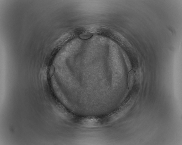 X0000113070217200909250936
