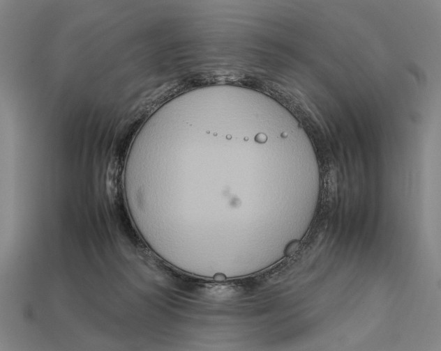 X0000113070218200909250936