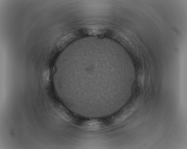 X0000113070219200909250936