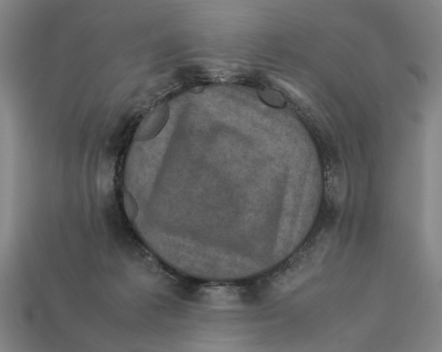 X0000113070221200909250936