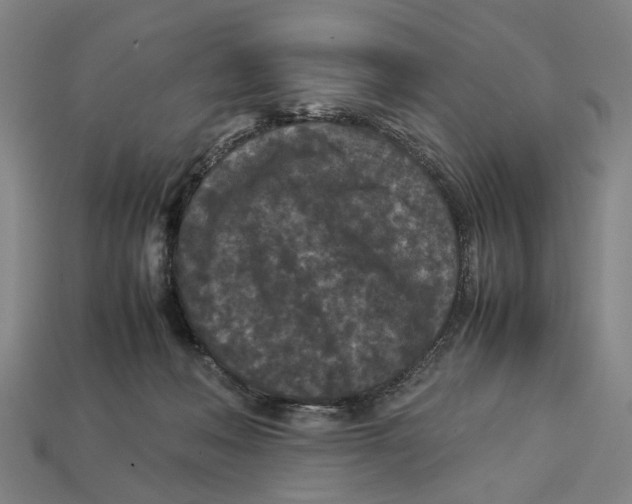 X0000113070222200909250936