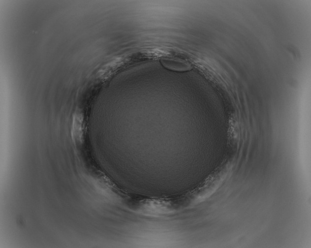 X0000113070223200909250936