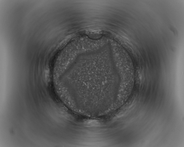 X0000113070224200909250936
