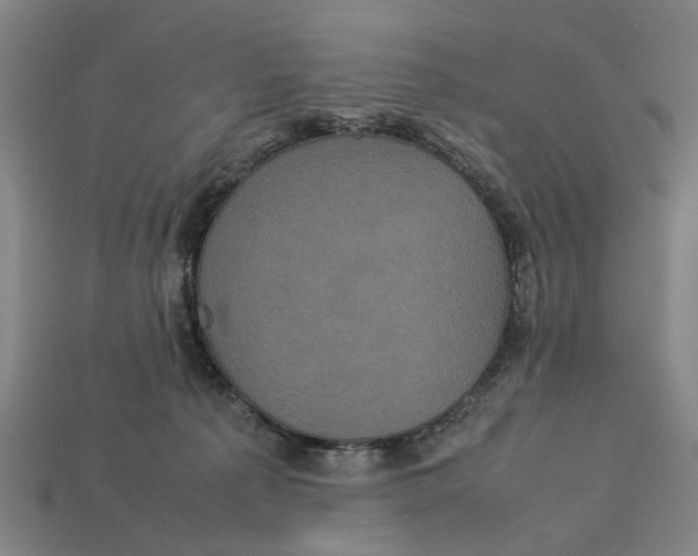 X0000113070225200909250935