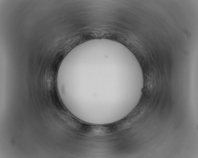 X0000113070226200909250935